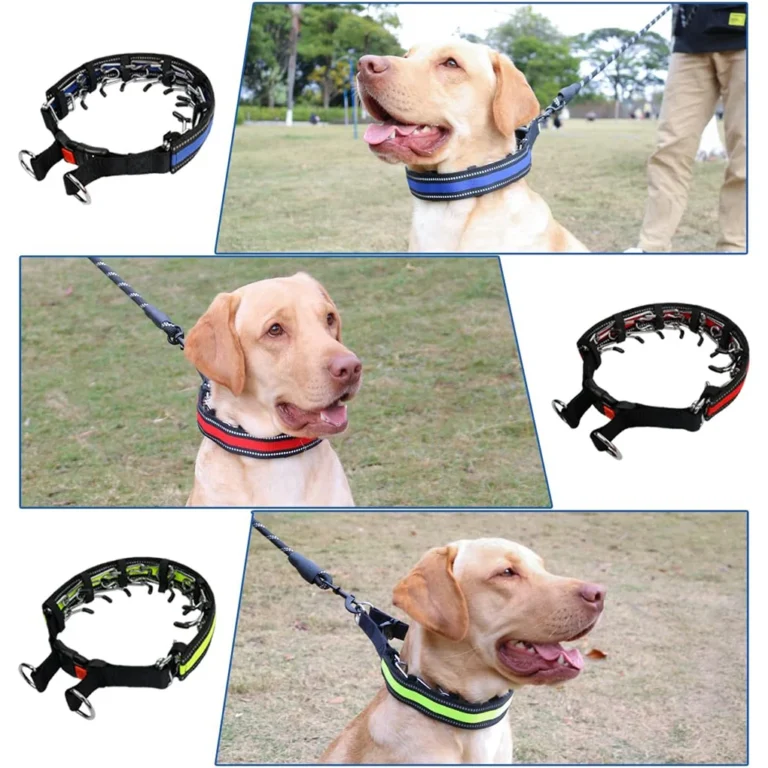 No Pull Dog Collar - Image 5