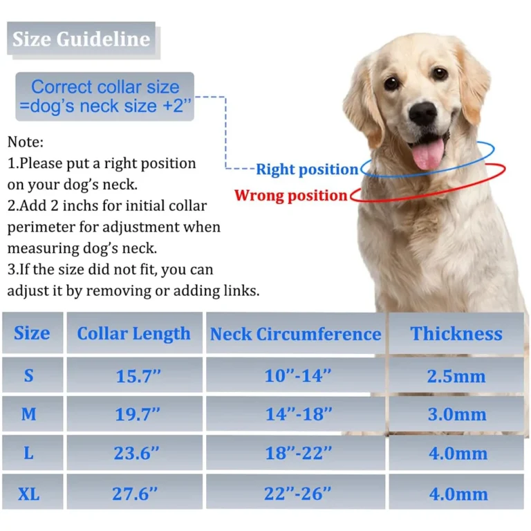 No Pull Dog Collar - Image 6