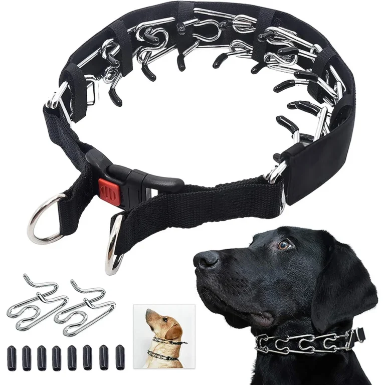 No Pull Dog Collar - Image 7