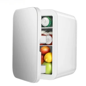 6L Mini Car Refrigerator 12V DC 220V AC
