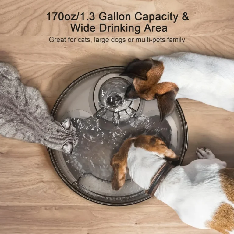 Large Automatic Pet Water Dispenser Dog Water - Image 2