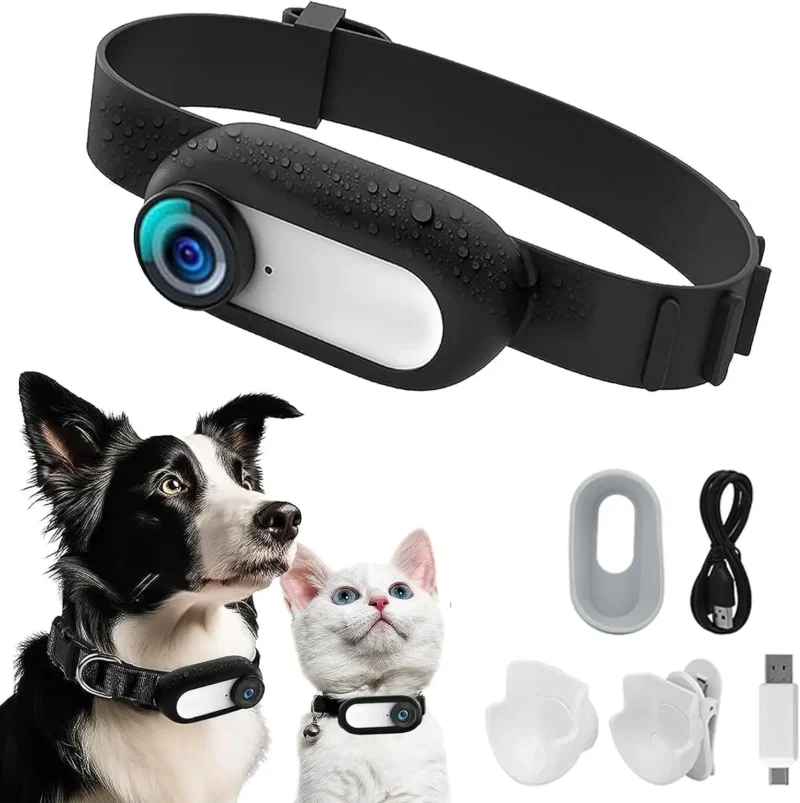 Pet Supplies Cat and Dog Collar Camera Outdoor Sports