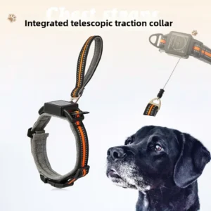 One-piece dog collar