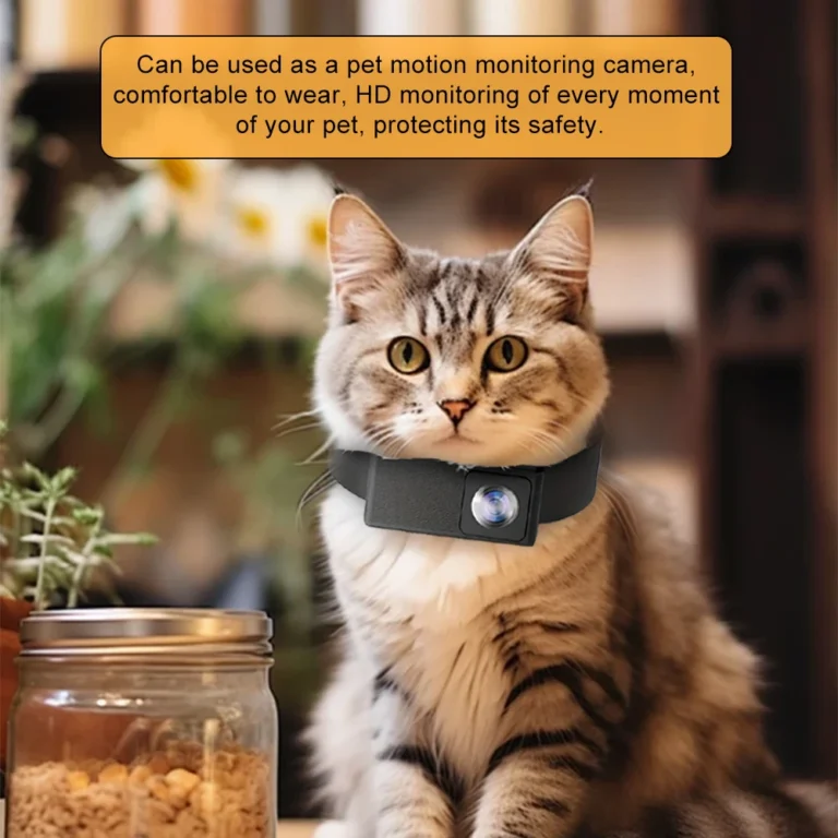 1080P Pet Cameras Dog Cat Pet Camera Wireless Collar Camera - Image 4