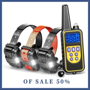 Pet dog supplies For training device