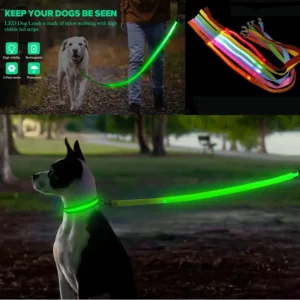 Glowing Led Dog Leash Usb Rechargeable